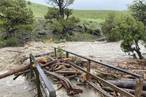 美国黄石公园洪水泛滥 34年来首次全关闭游客撤离