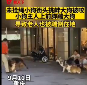 重庆：一小型犬被大型犬咬 男子踹大狗致牵狗老人摔倒