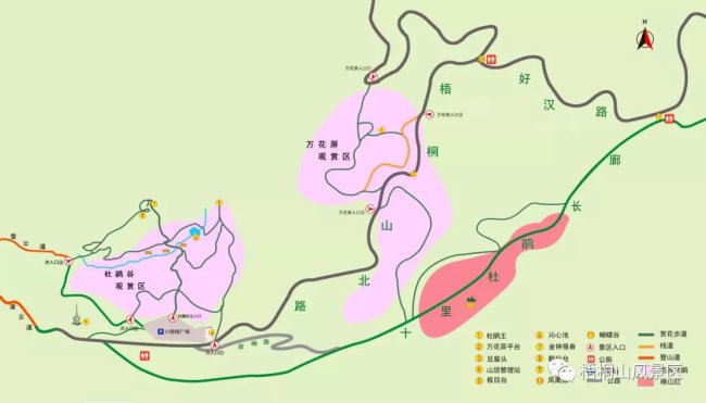 (梧桐山北路5公里公路)—凤凰台—万花屏—小梧桐杜鹃谷        路线b