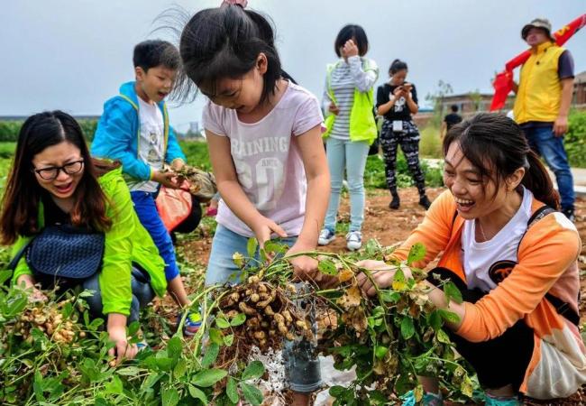 青岛莱西全面提升休闲农业发展势能,让农业繁荣农村,富裕农民