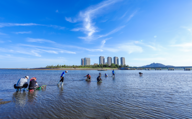 世界环境日,看人与自然和谐共生的"威海荣成画卷"