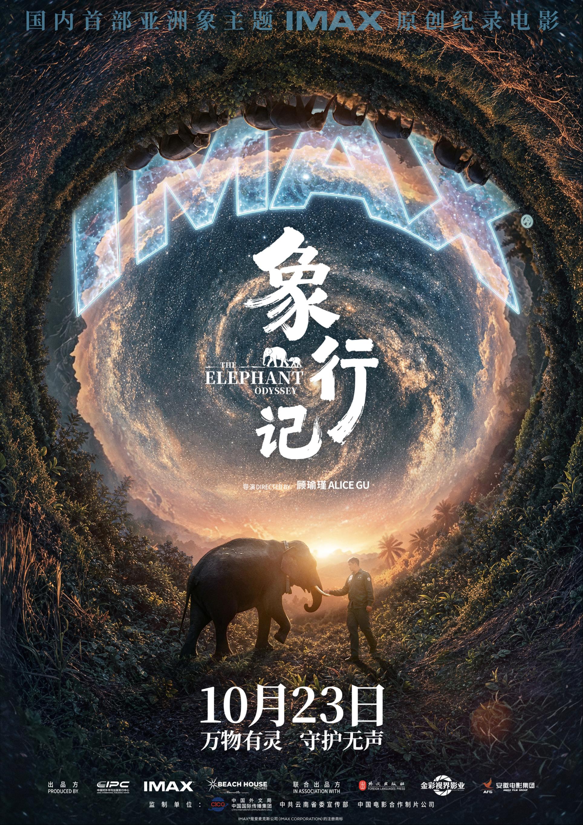 群象南归、阿宝回家！纪录电影《象行记》两大亚洲象真实事件首登大银幕