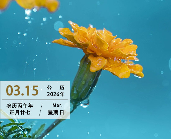 心随万物皆成诗