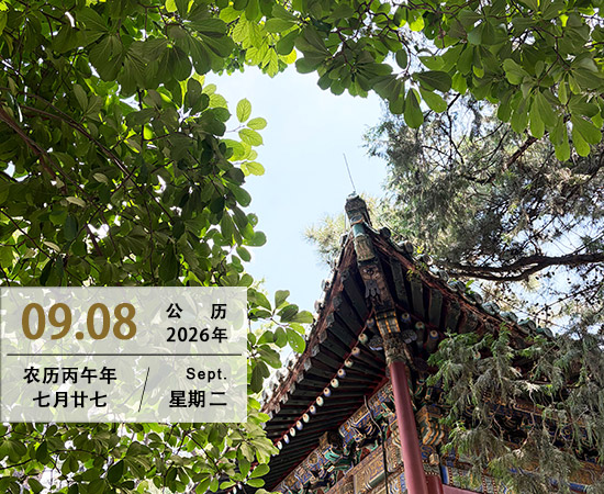 感受