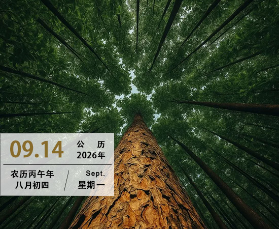 知足便是清欢