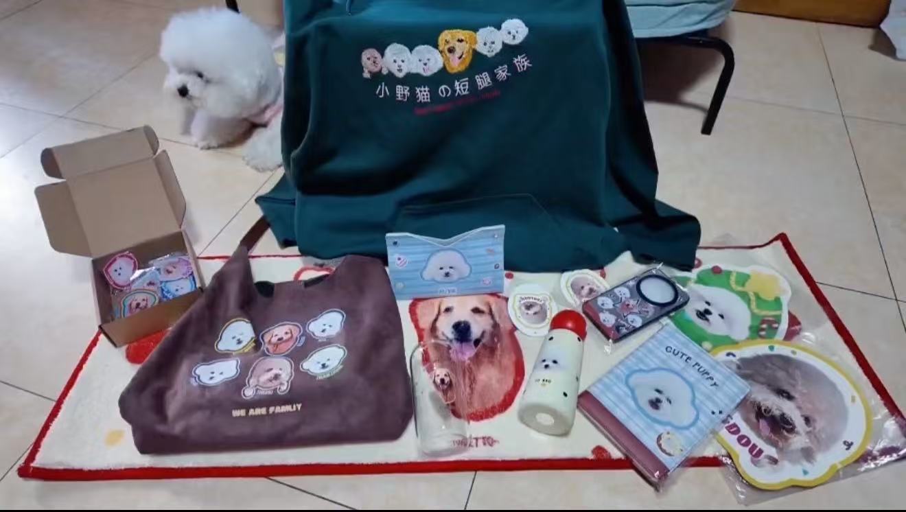 生活无处不小狗