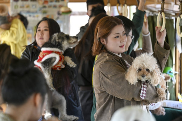 长春54路文旅专列开启 “萌宠友好” 模式