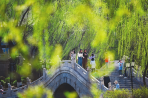 山西·大同 Discover Shanxi's Springtime Beauty—Datong Awaits You to Explore "Traces of Spring"