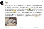 舒淇呼吁大家生病要戴口罩：公德心还是要有的