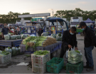 北京新发地市场加大果蔬和猪肉上市量