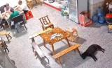 当地回应4人家中打牌被飞来轮胎砸中 3人仍住院治疗