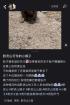 黔靈山一猴子臉部受傷嚴(yán)重 當(dāng)?shù)鼗貞?yīng) 尋找救治中