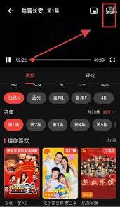 坚果视频app如何设置中文字幕