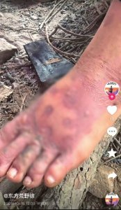 “荒野求生”挑战赛被曝乱象丛生 安全与公平存疑