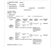 小伙出差被困伊朗 全公司帮他回家 跨越时差的“云救援”