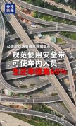 4月1日起全国严查后排未系安全带？查不查都不该心存侥幸