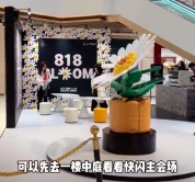 外滩露台开出6米高积木小雏菊！马来西亚粉丝来上海打卡小雏菊