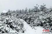 云南假期多地降雪 春末夏初罕见雪景