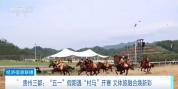 一天超8万人次涌入 又一赛事火了 贵州“村马”引热潮