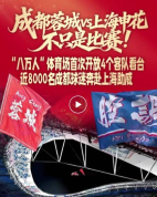 成都蓉城球迷凭啥在中超成风景线 数据与热情刷新纪录