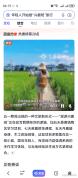 年轻人开始报“兴趣班”旅行：边玩边学新风尚