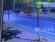 公马跟随母马狂奔 5个人狂追3公里 街头上演“马速追逐战”