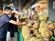 “榴莲自由”更近了吗 物流提速助力价格亲民