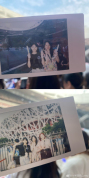 五月天演唱会结束吃点化毛膏吧 柳絮飞舞成另类“特效”