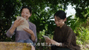 《给阿嬷的情书》为何如此好哭 纸短情长