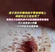 孩子零食肉干掉地上蚂蚁吃完全死了 家长担忧食品安全