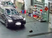 员工被误认开奔驰轧小猫遭网暴 公司回应：非自家员工