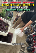 杨梅塌房消费者却无力心疼果农了 行业自律重建信任