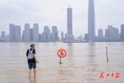 武汉因水位上涨再现“江底铺瓷砖”：轮渡和道路还能正常走吗