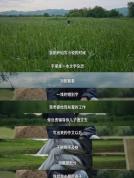 余华“草台班子”论调引发网友热议 勇气与自嘲共舞