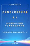 全球减贫与发展伙伴联盟成立 共促全球减贫新篇章