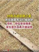 村民占用公路晾晒小麦竟摆放带钉木板 隐患重重引担忧