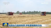 各地全力抢收抢烘 护航夏粮颗粒归仓
