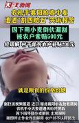 农机手遭割四赔五不能让老实人吃亏 农户索赔引争议