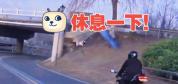 小孩滑板突然窜出司机急刹停车 绿化带视线受阻险酿事故