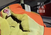 梳洗台下发现大蛇女子吓得大哭 消防员提醒