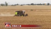 河南给田地装上“数字大脑” 科技助力麦收高效推进