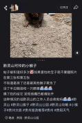黔靈山一猴子臉部受傷嚴(yán)重 當(dāng)?shù)鼗貞?yīng) 尋找救治中