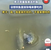 钓鱼佬彻底懵了！男子带鱼食去钓鱼 鱼直接张嘴要吃的