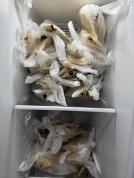 鹅腿阿姨老粉称愿意提供没吃的产品检测 顾客考虑维权起诉