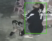 男子缺钾晕倒 朋友翻墙进入救人