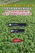 儿媳接管油菜地20天长满马齿苋 意外收获引发热议