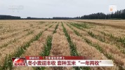 夏收夏种正当时 田间地头一派繁忙景象