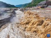 黄河壶口瀑布迎来汛期 壮观景象吸引游客