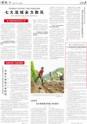不飞絮的杨树开始规模化繁育 无絮速生新品种亮相