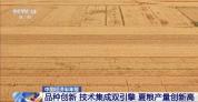 我国夏粮产量创新高 丰收的背后有哪些硬核支撑？